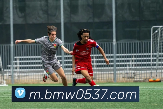 宝马娱乐官网服务体系